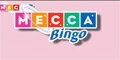 play online bingo game