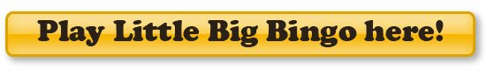 Play little big bingo